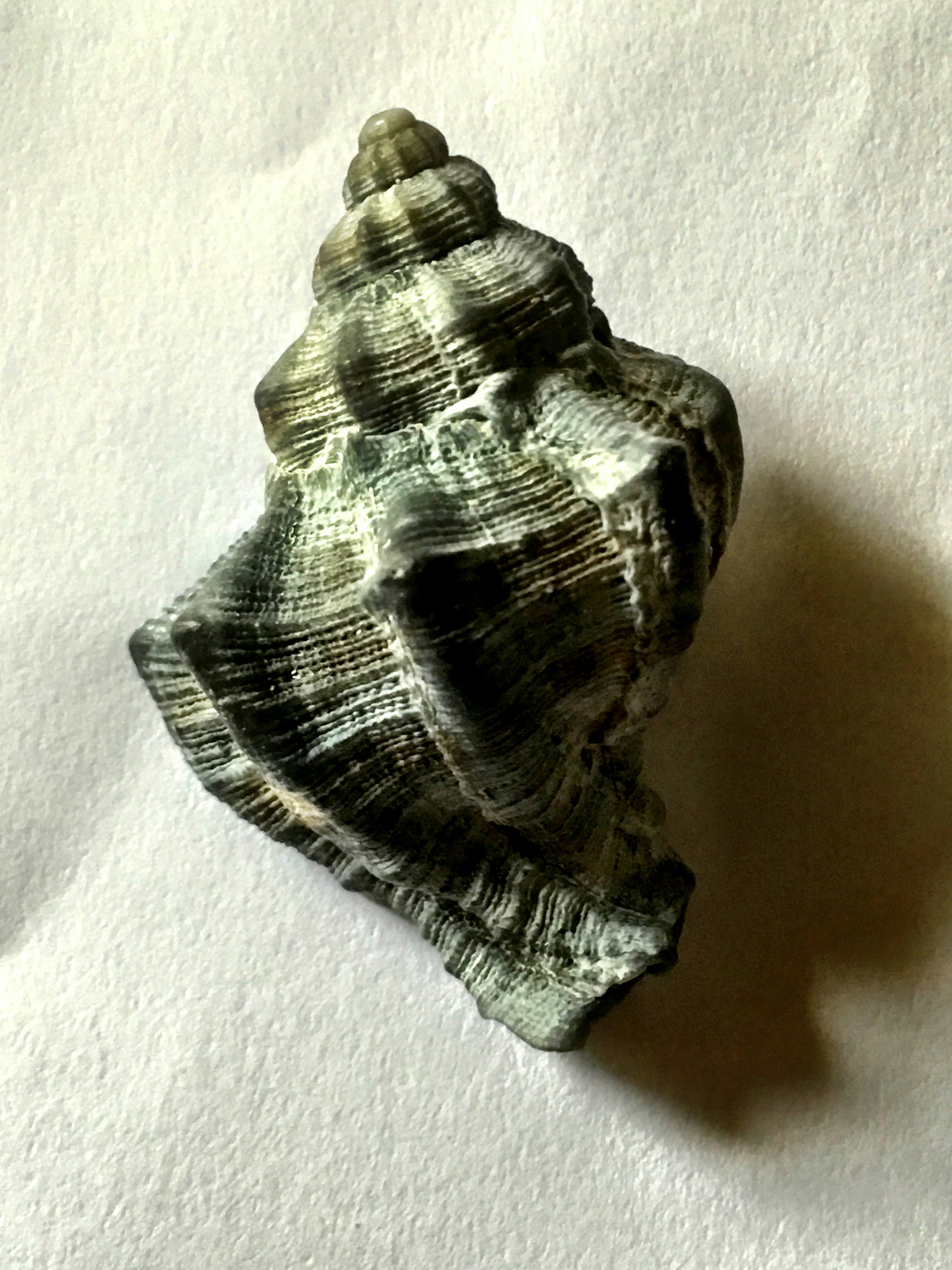 Free Unsplash photo from Giuseppe Levi