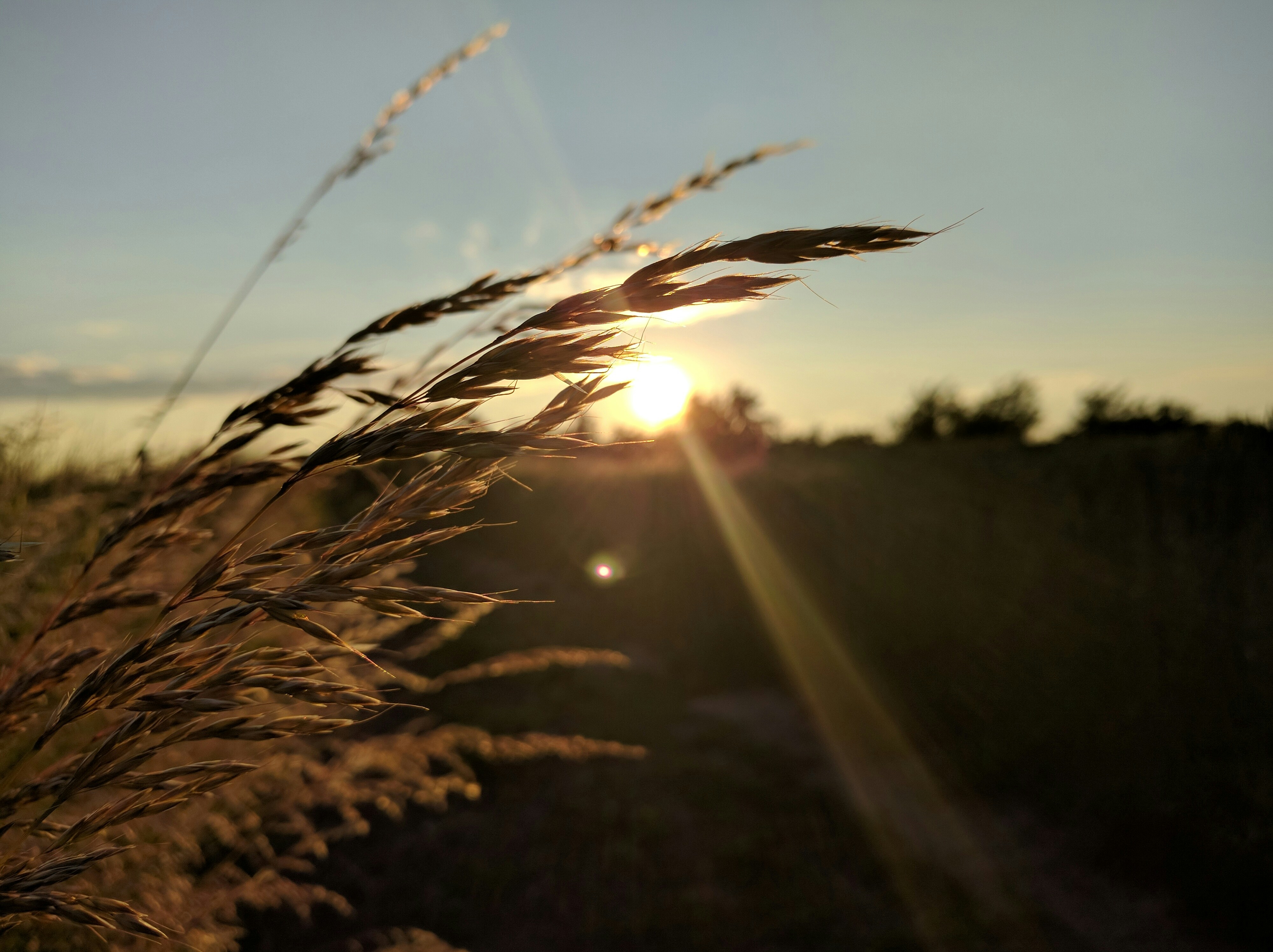 Free Unsplash photo from Adrian Rudzki