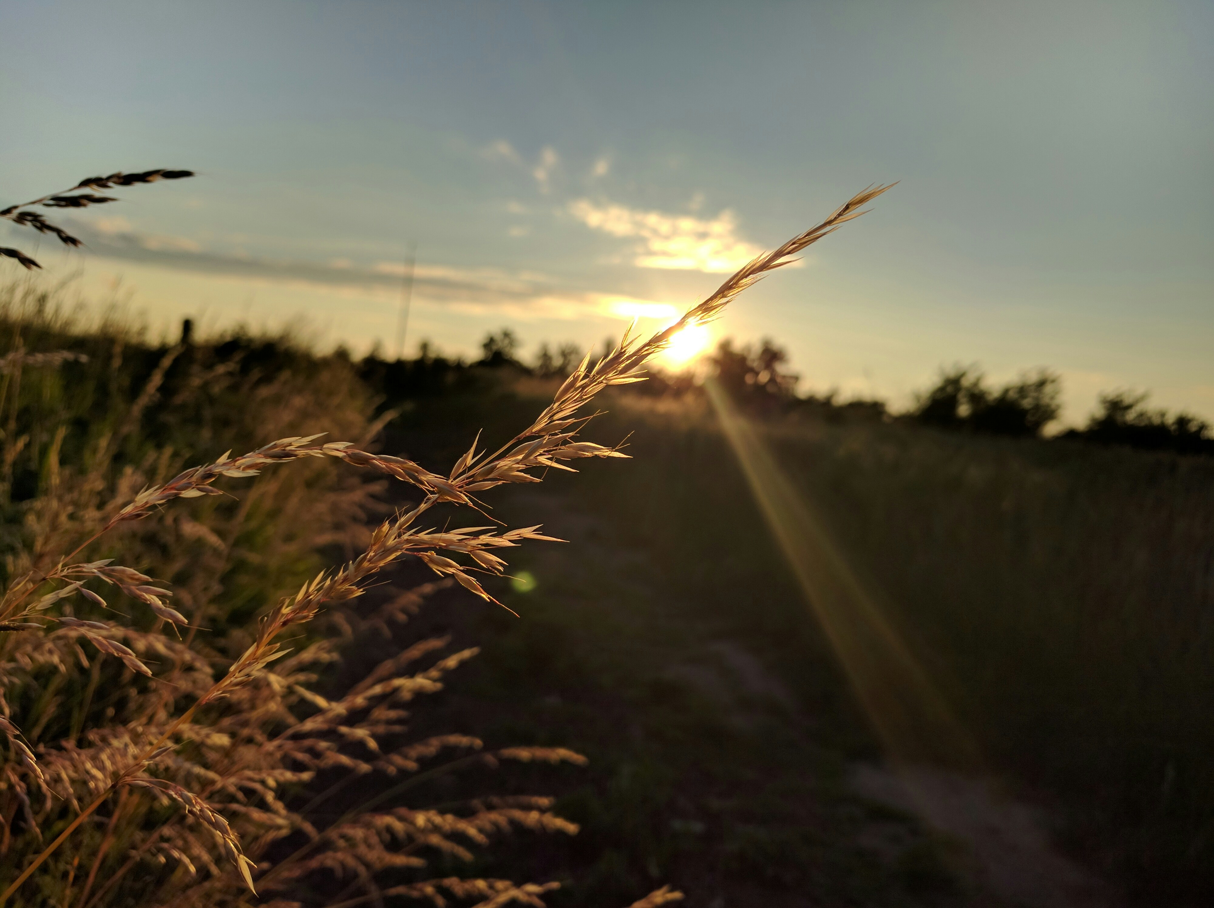 Free Unsplash photo from Adrian Rudzki