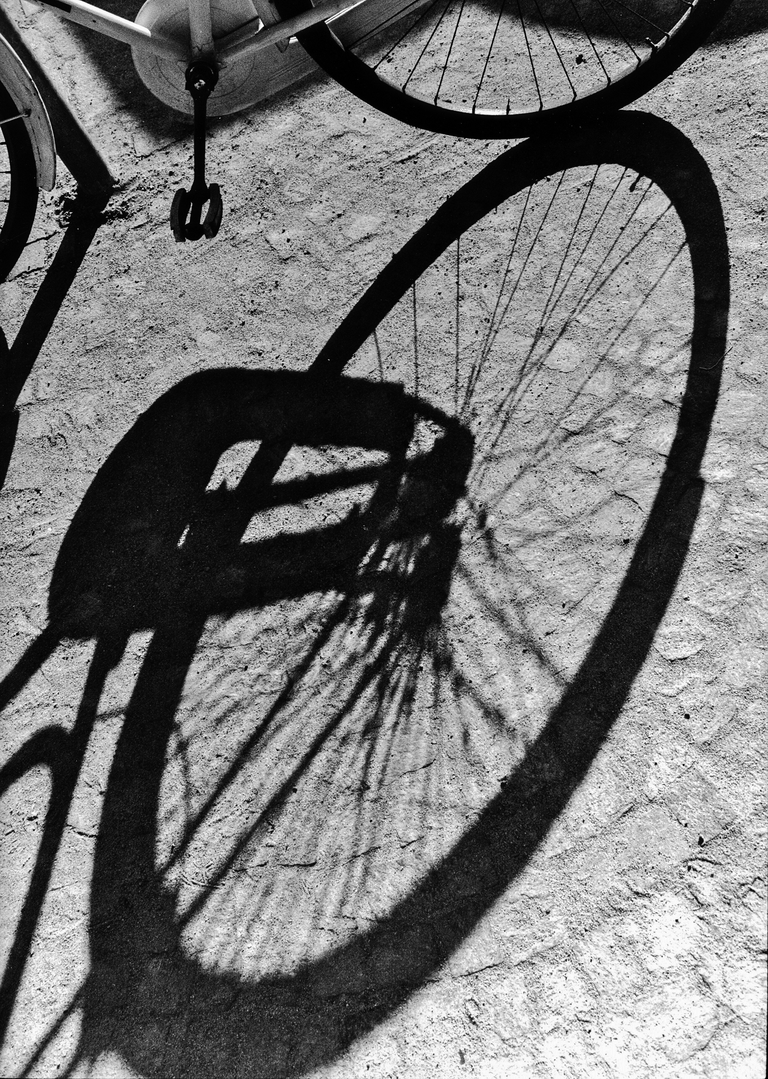 Free Unsplash photo from Giuseppe Levi