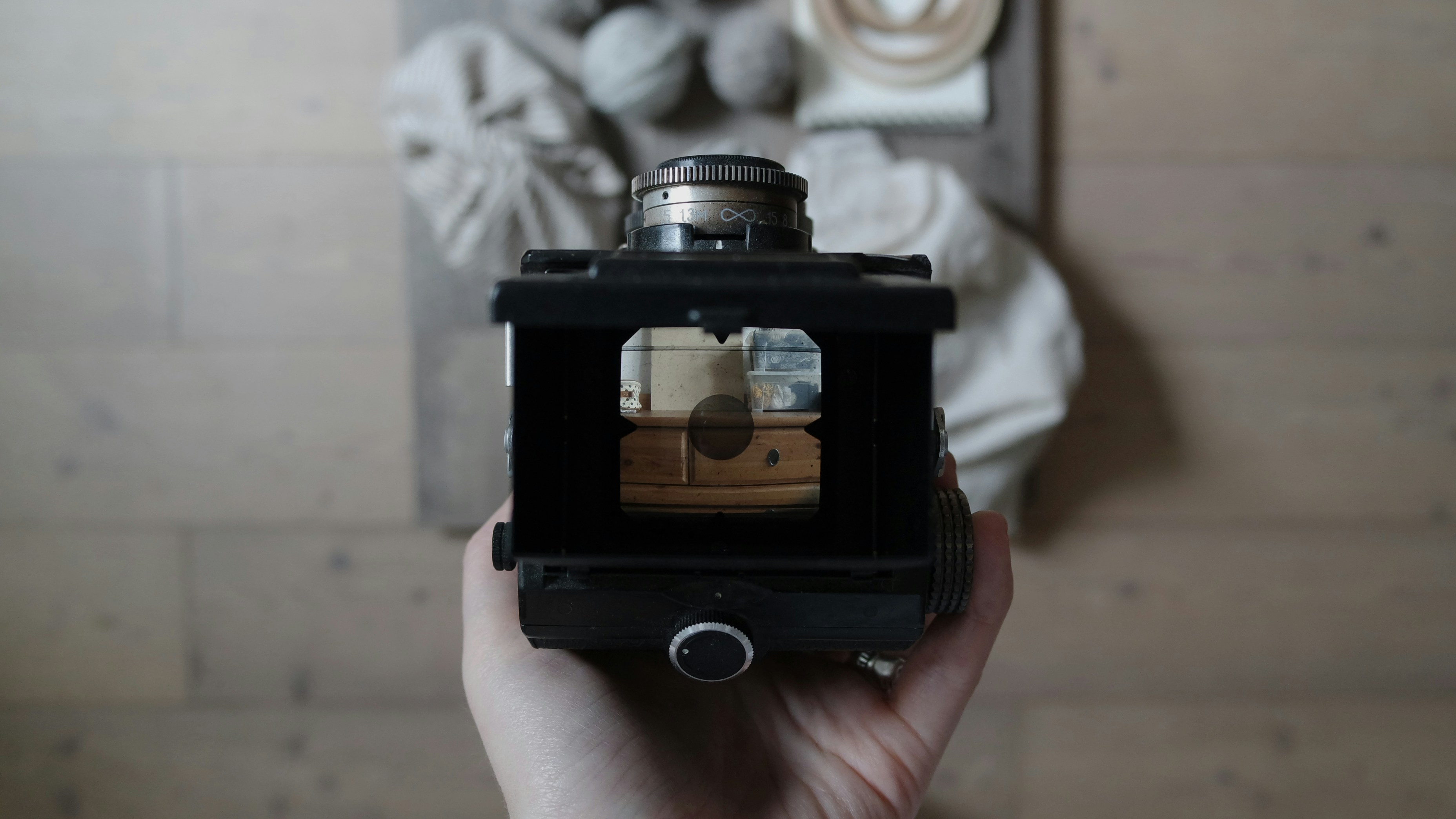 Free Unsplash photo from Giulia Bertelli