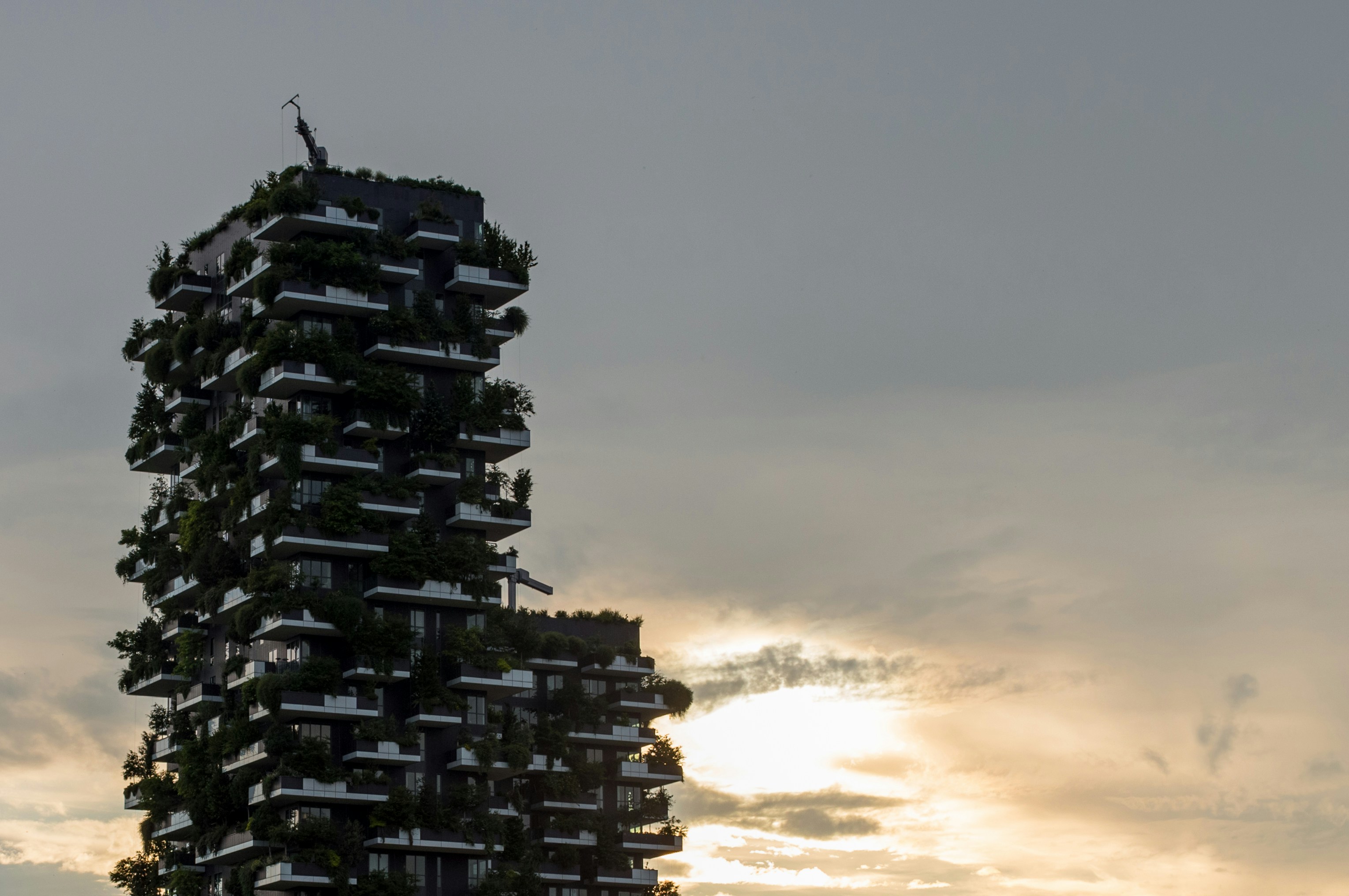 Free Unsplash photo from Samuele Schiatti