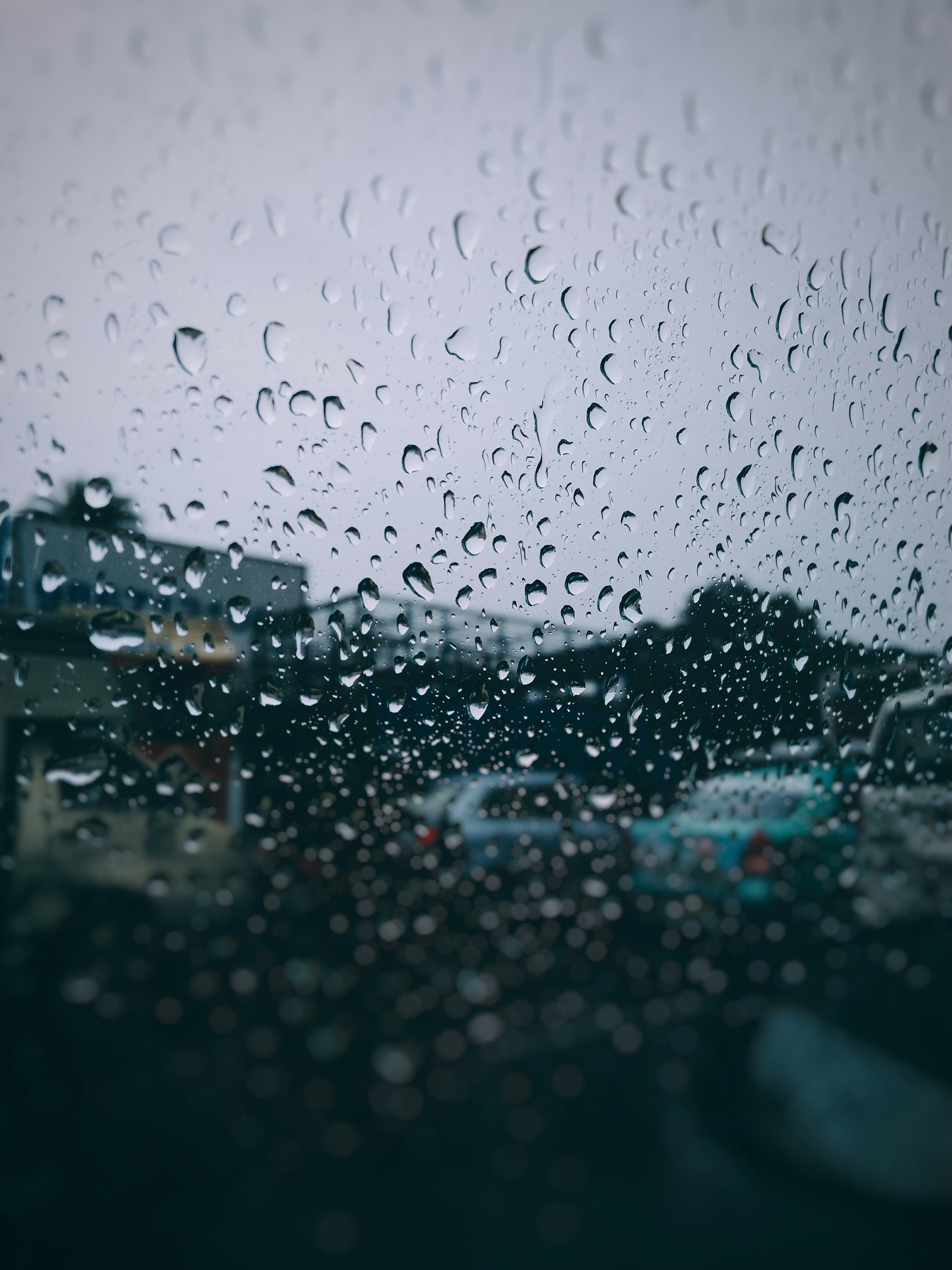 Drop, business, computer and shape HD photo by Kaushik ... - 1000 x 1333 jpeg 180kB