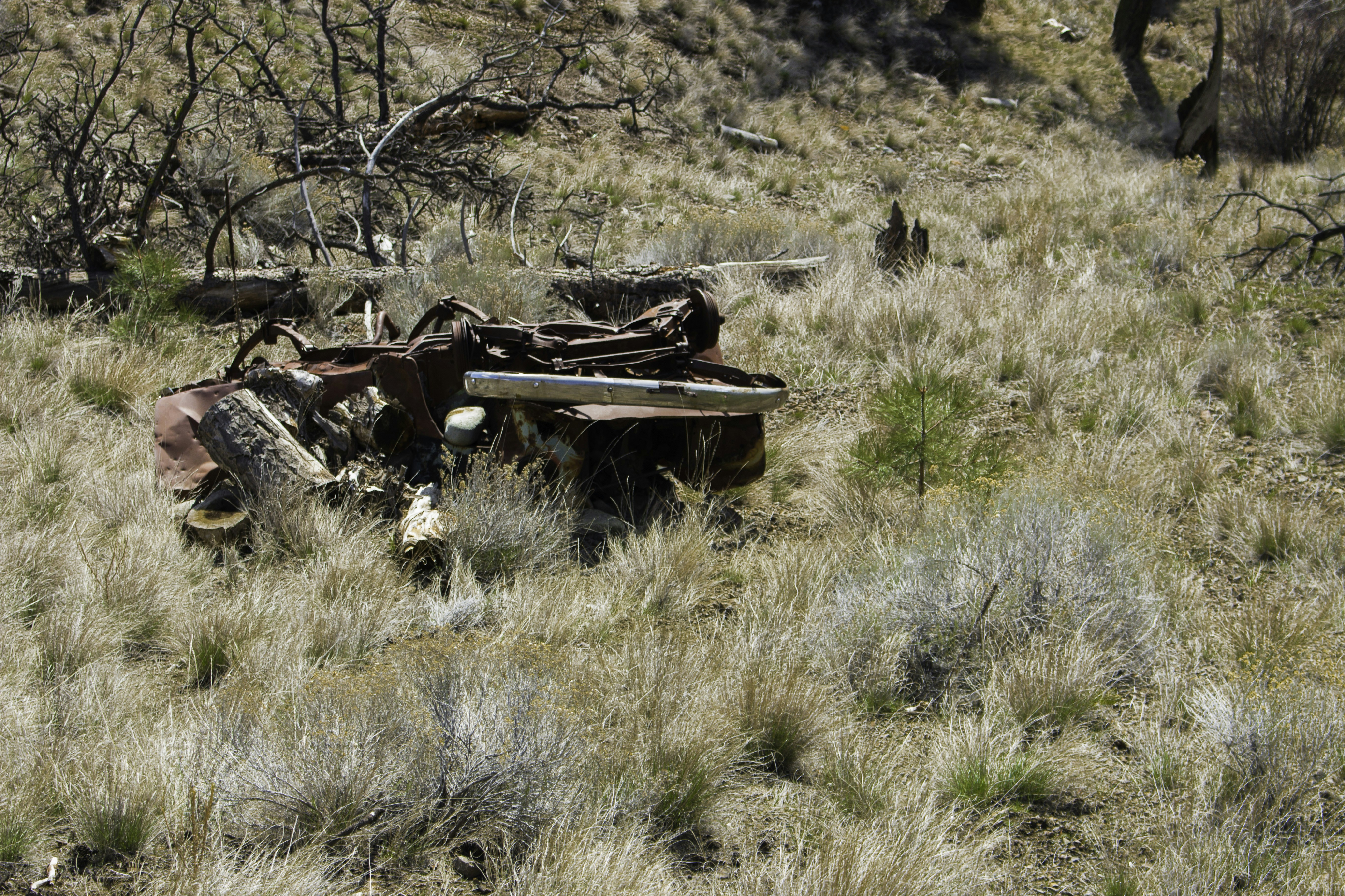 Free Unsplash photo from Nick Saxby