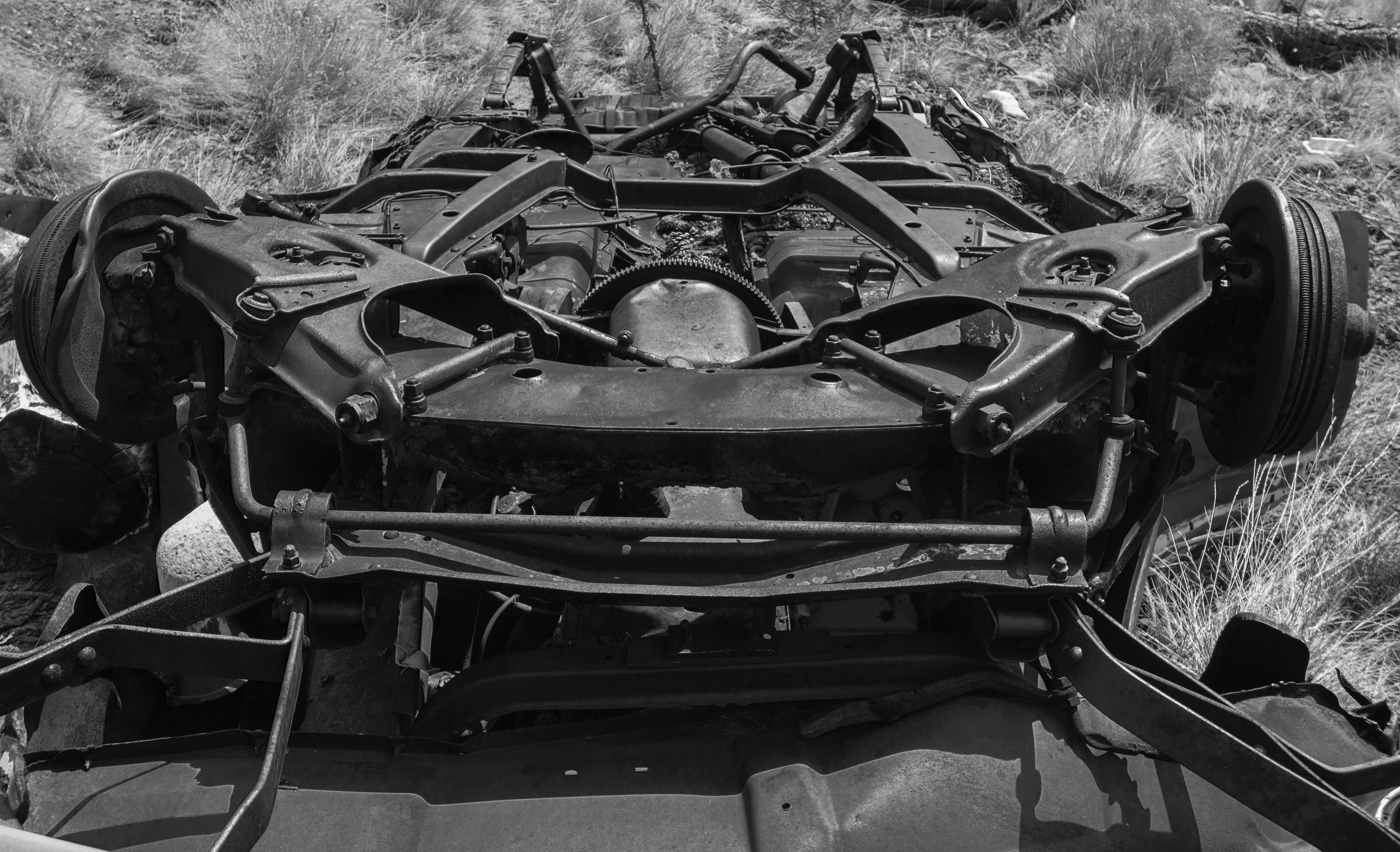 Free Unsplash photo from Nick Saxby