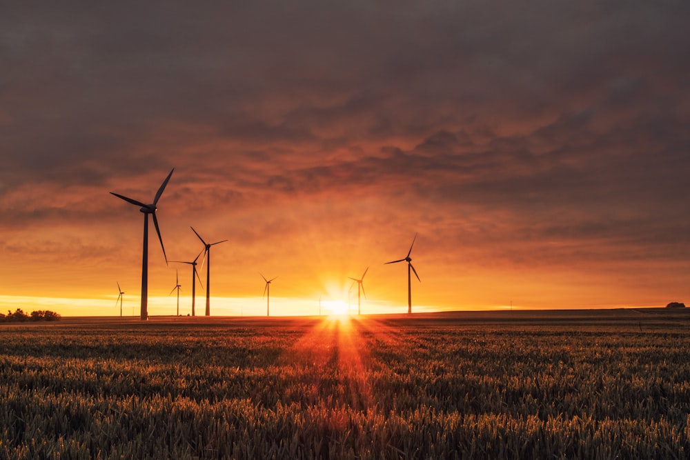 Molino de viento en el campo de hierba durante la hora dorada