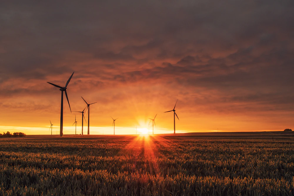 Industrial solar field