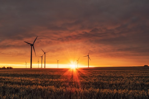 Solar panels in a field representing renewable energy news
