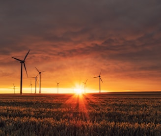 windmill on grass field during golden hour