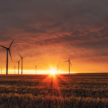 windmill on grass field during golden hour