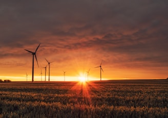 windmill on grass field during golden hour