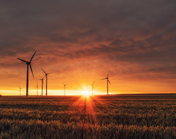 windmill on grass field during golden hour