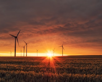 windmill on grass field during golden hour