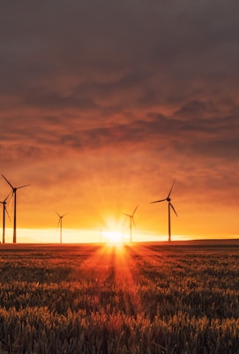 windmill on grass field during golden hour