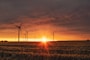 windmill on grass field during golden hour