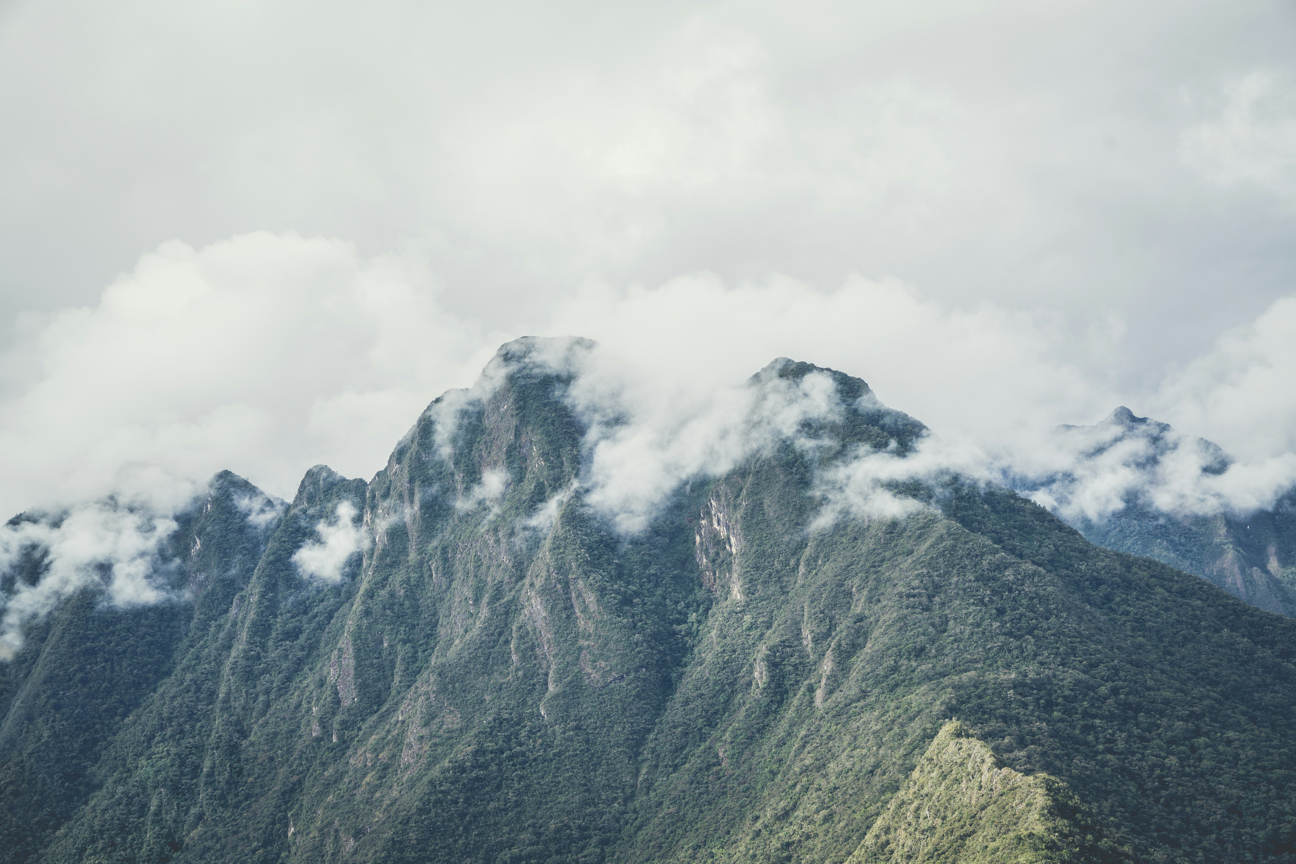 Free Unsplash photo from Matt Walker