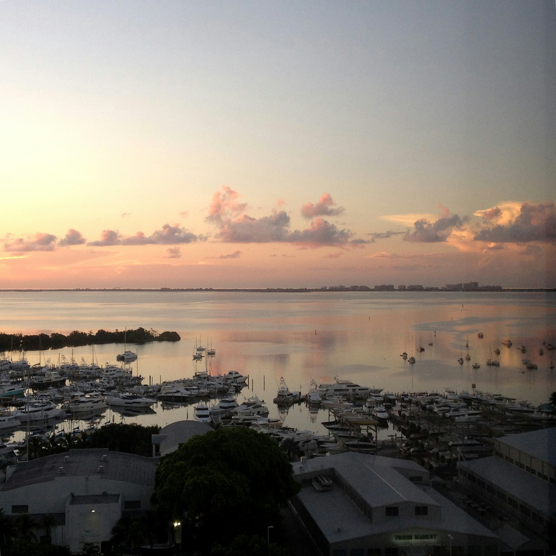 Free Unsplash photo from anthony bryant