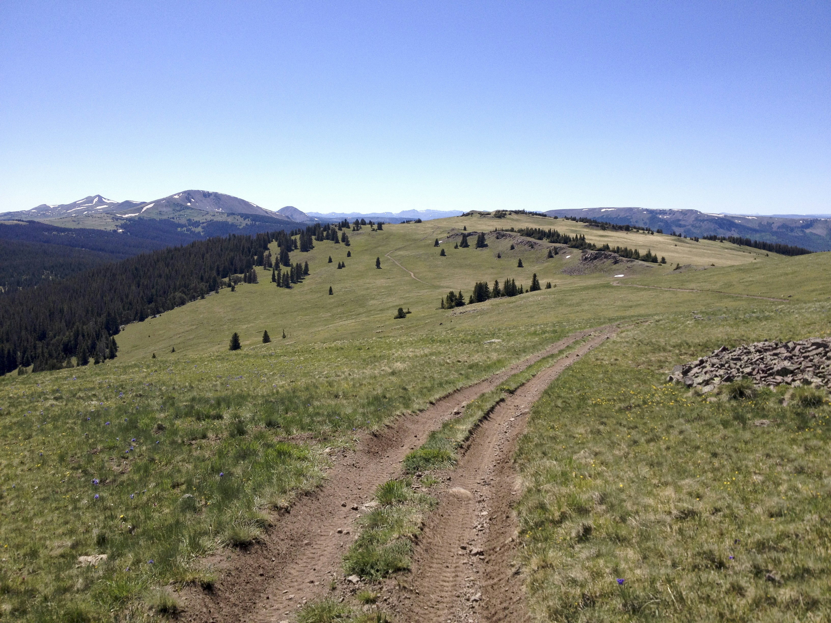 Free Unsplash photo from anthony bryant