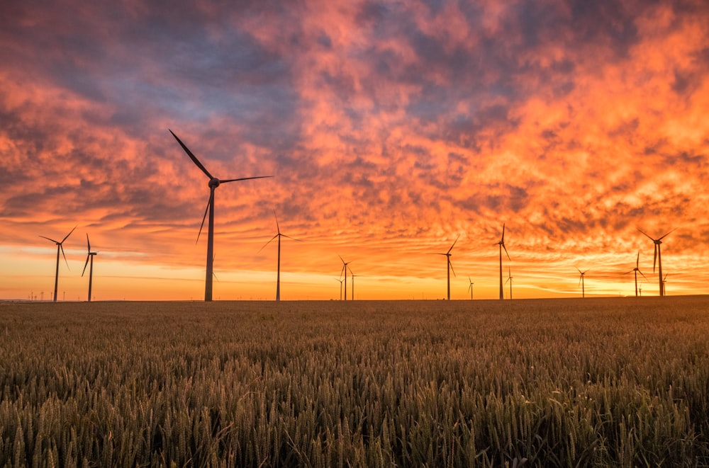 fotografía de paisaje de campo de hierba con molinos de viento bajo puesta de sol naranja