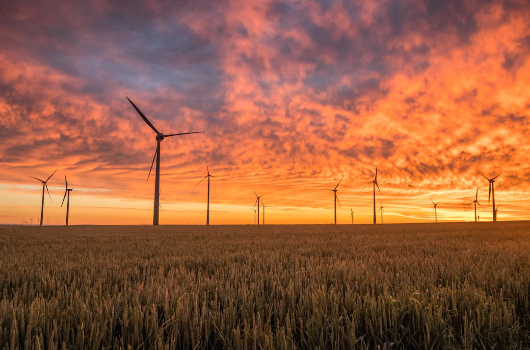 Wind turbines silhouetted against a fiery sunset sky