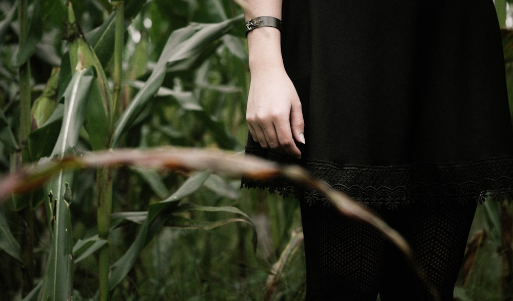 person standing near green plants