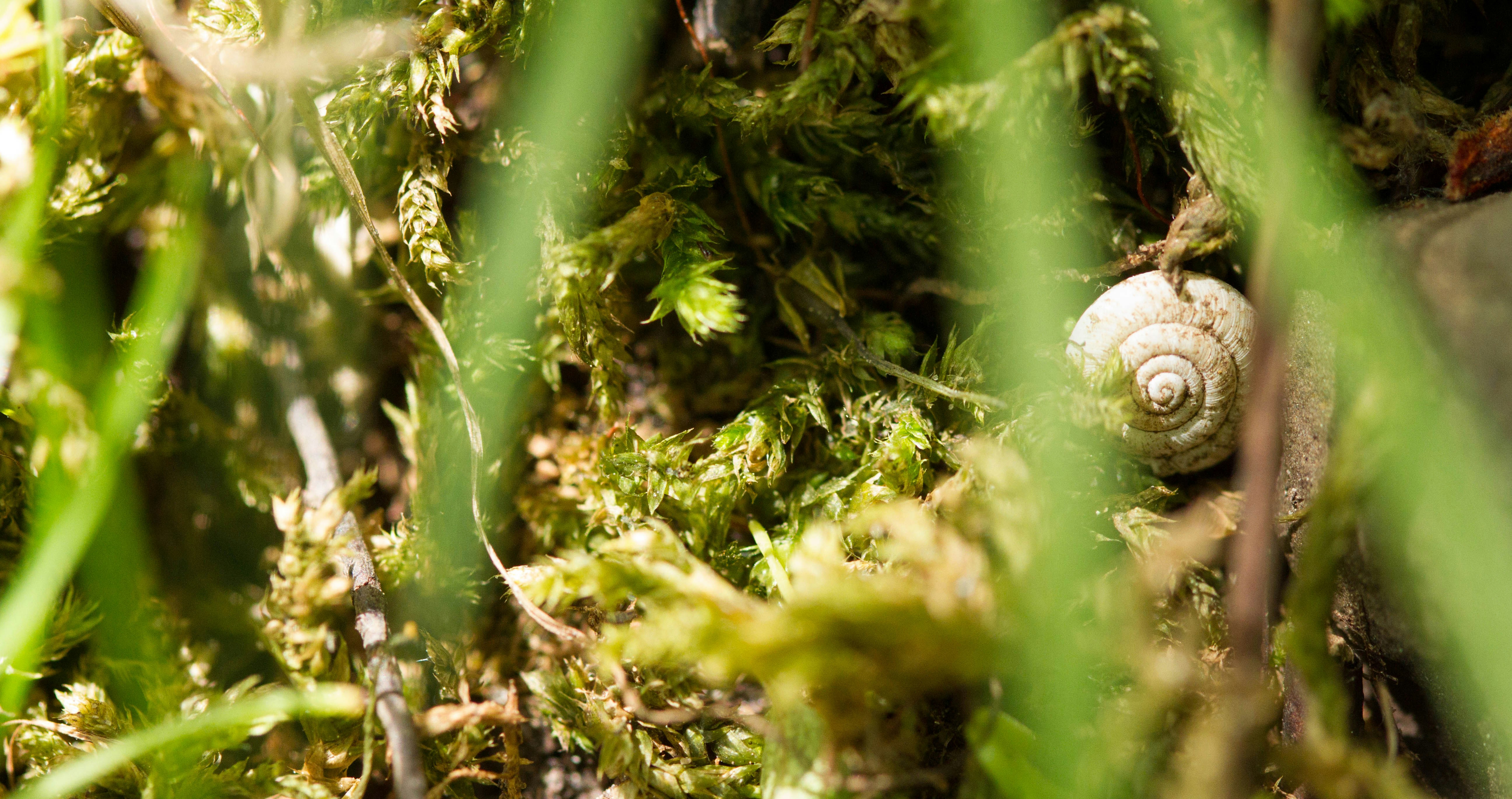 Free Unsplash photo from Tom Ezzatkhah