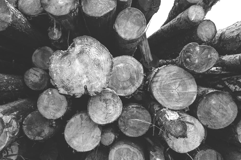 grayscale photo of wood logs