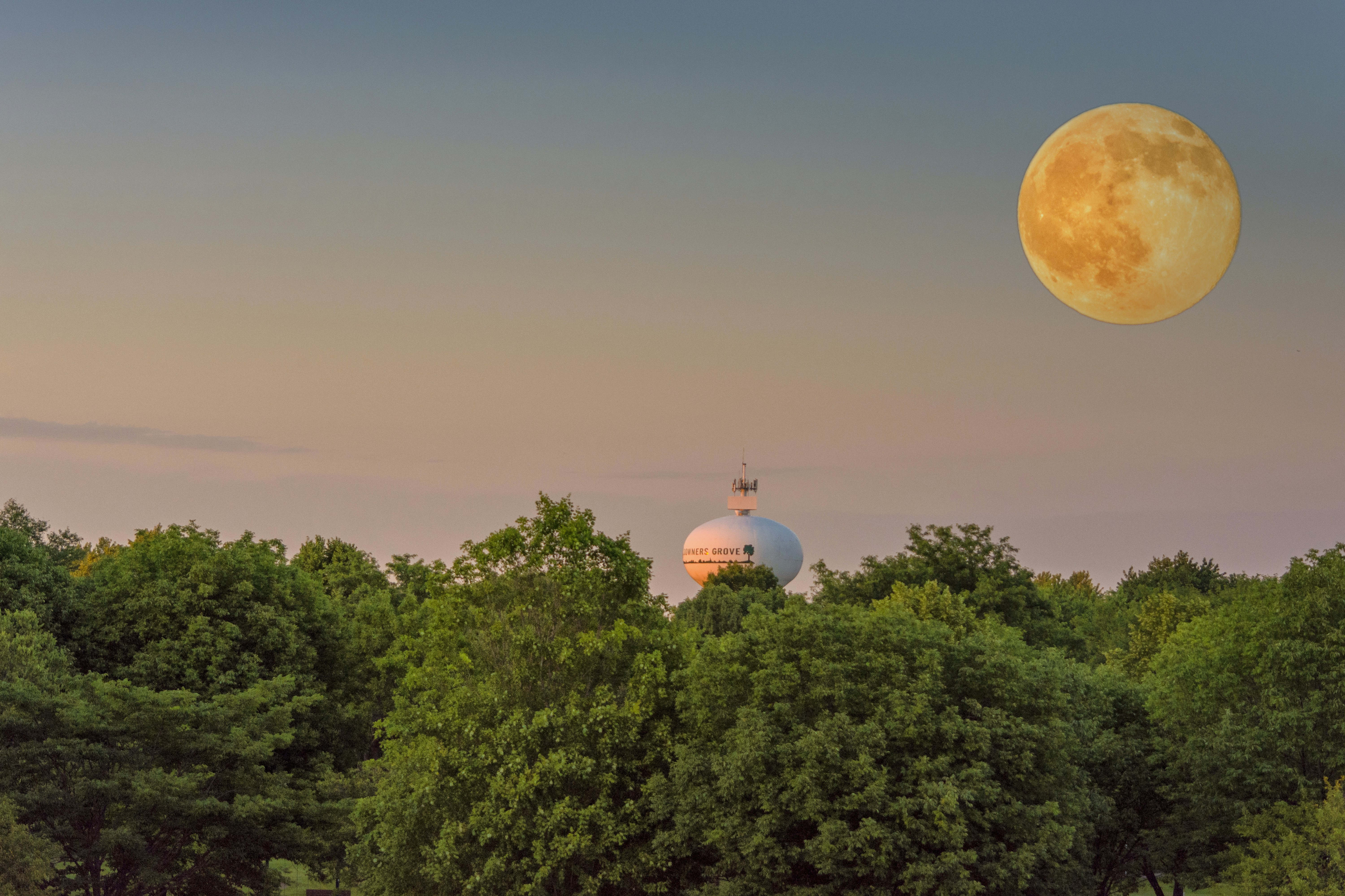 Free Unsplash photo from Rodrigo Rodriguez