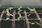 selective focus photo of plant spouts