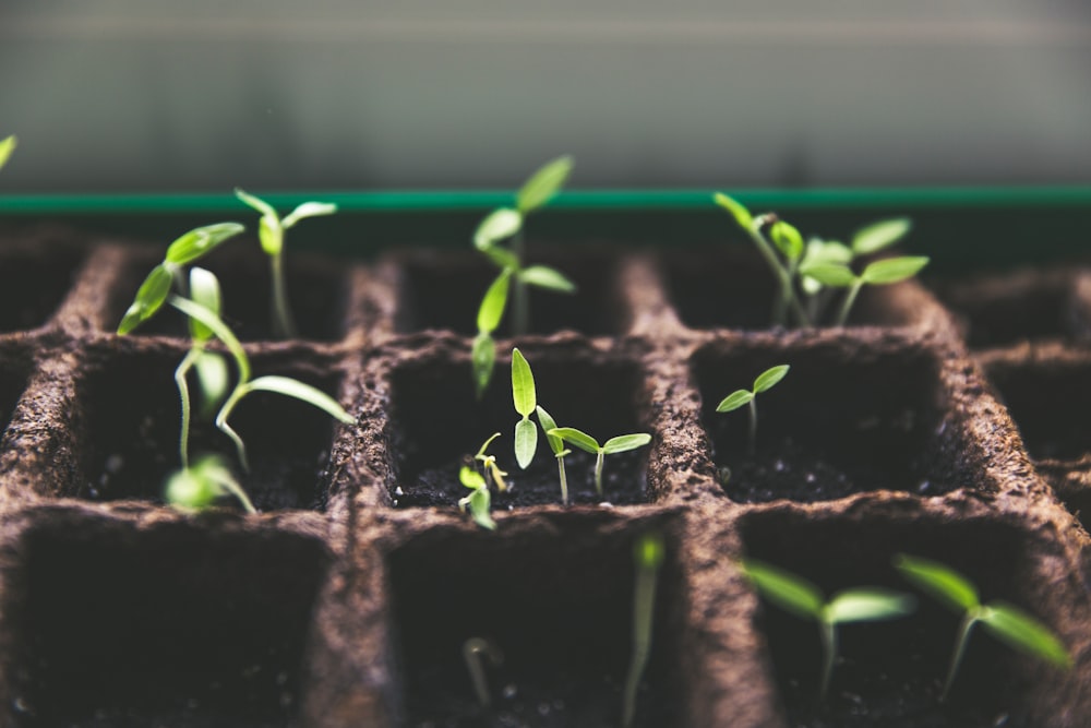 Seedstars and Fondation Botnar launch $20 million investment mandate in Africa post image