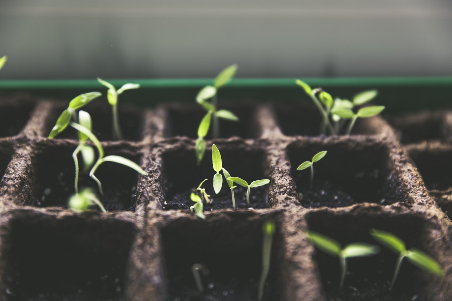 Greenhouse Technology