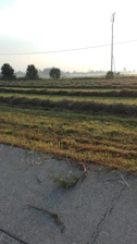 Before and after comparison of a cleared vacant lot showing neat grass cutting.