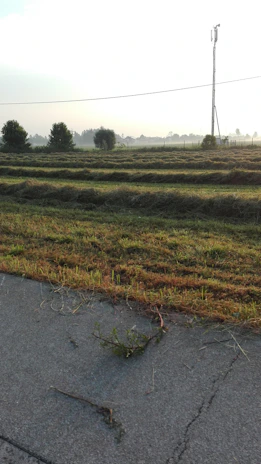 Before and after comparison of a cleared vacant lot showing neat grass cutting.