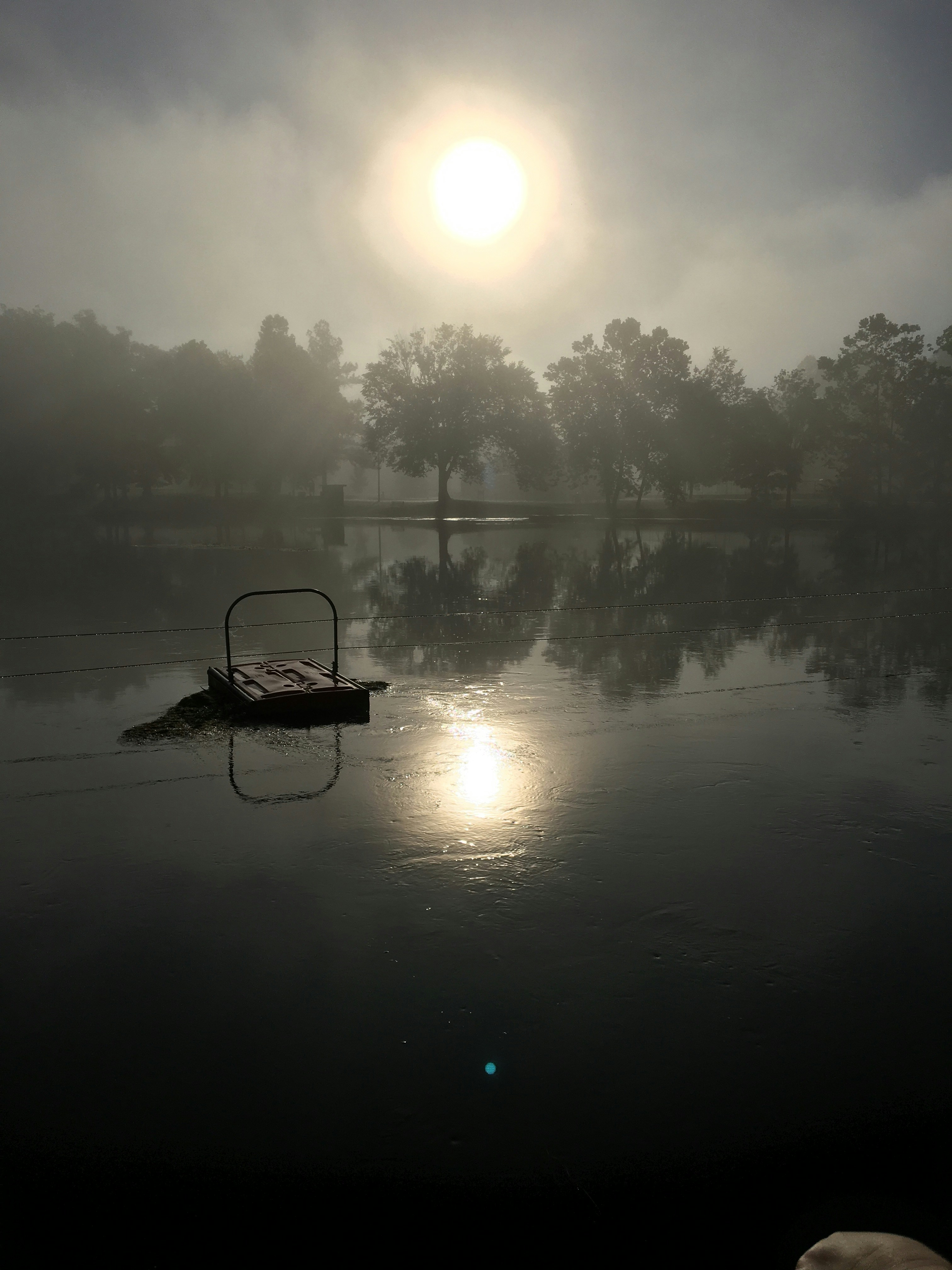 Free Unsplash photo from Hannah Anderson