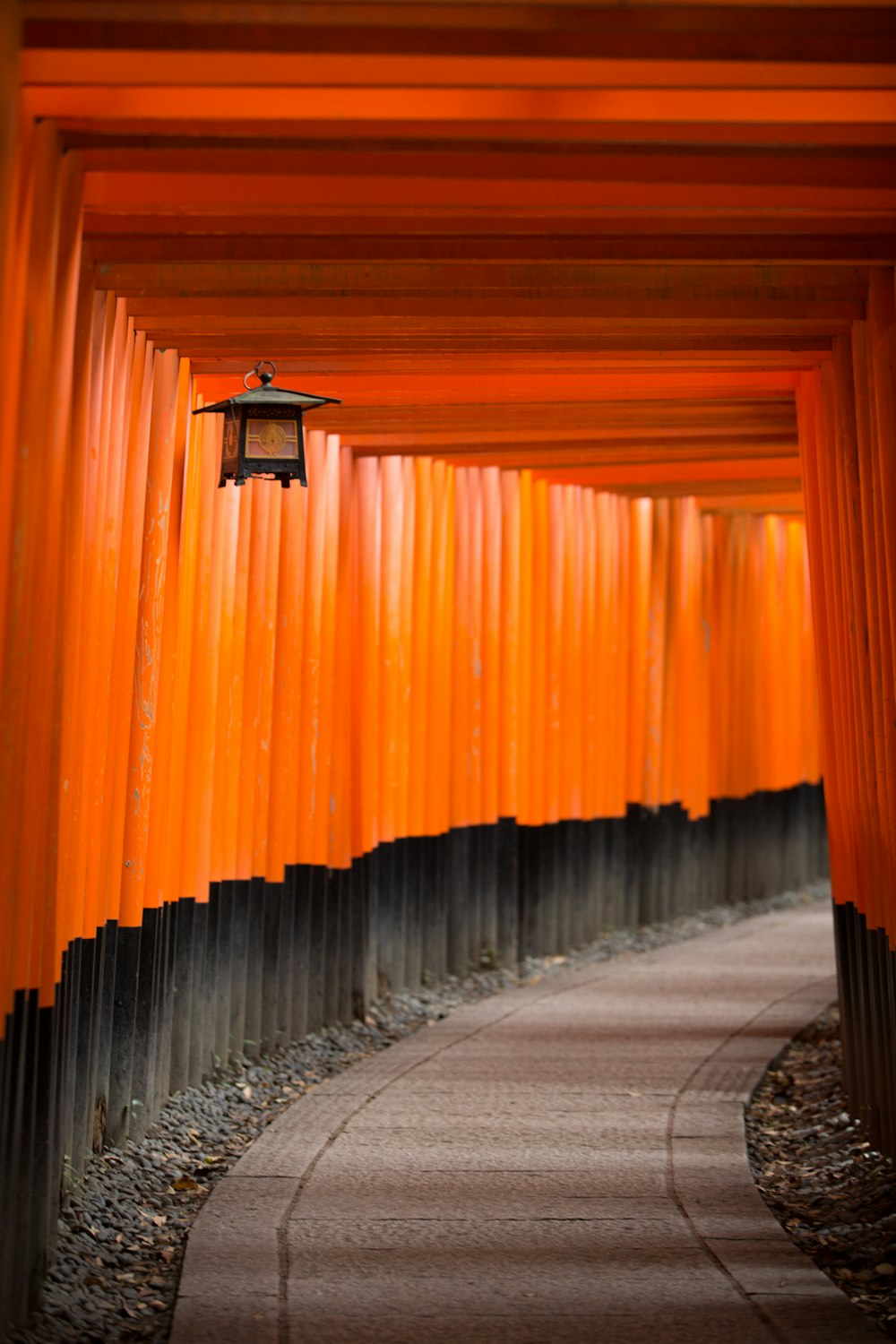 orange wall paint