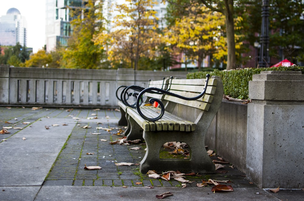 brown and black bench near green leafed plant