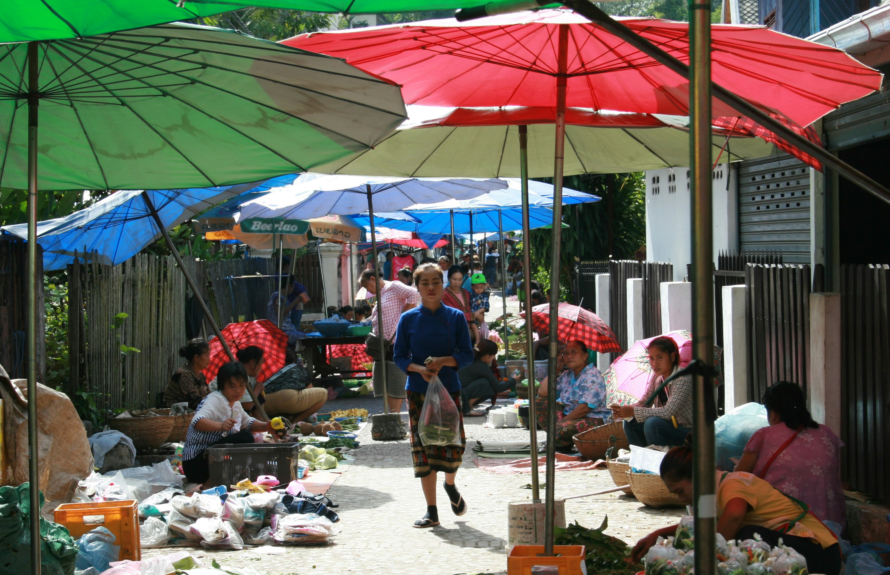 Free Unsplash photo from Francisco Aso