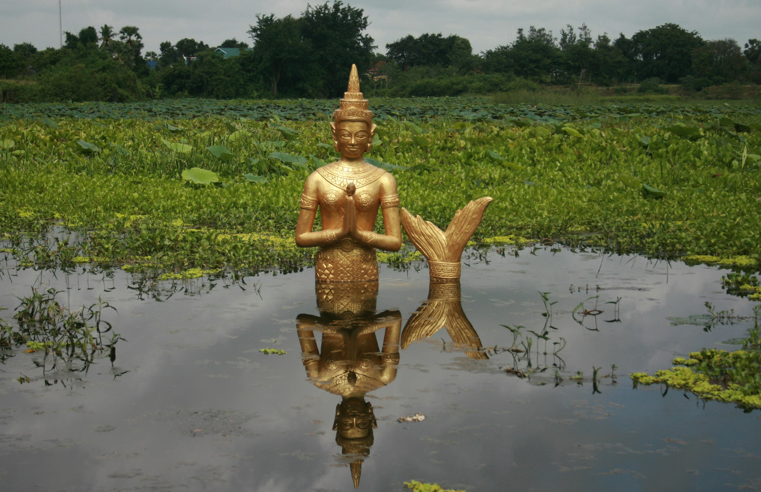 Free Unsplash photo from Francisco Aso