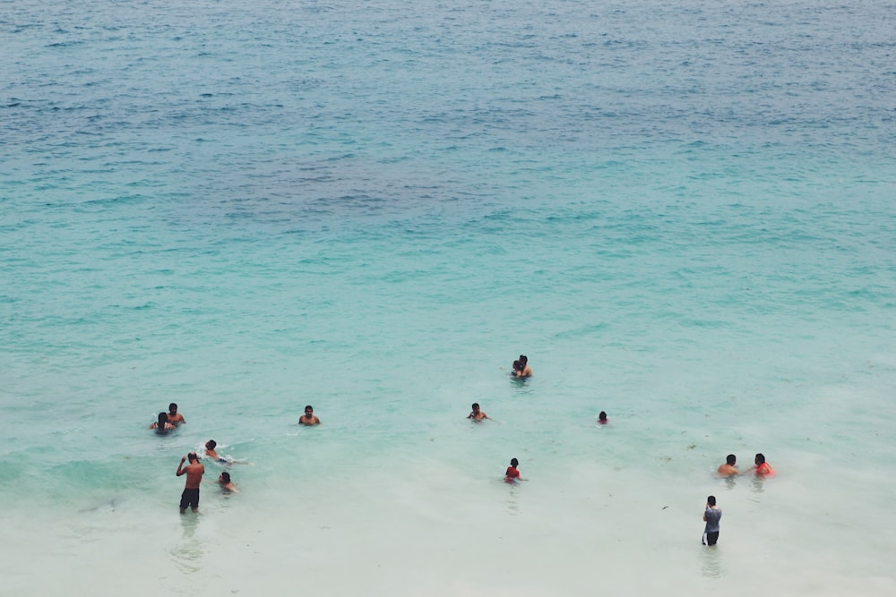 people swimming on body of water