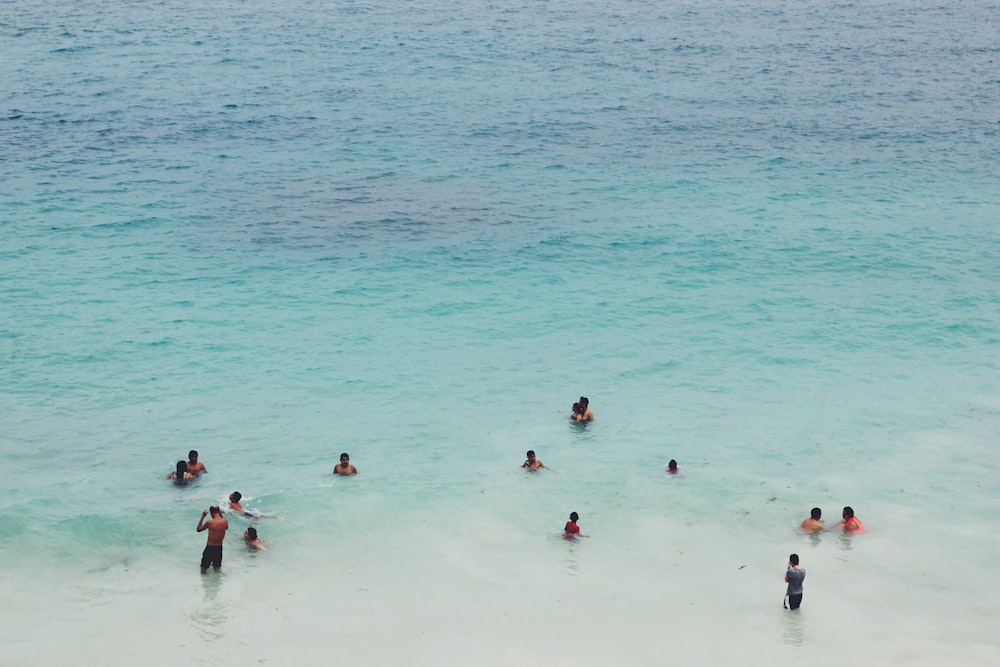 personnes nageant sur un plan d’eau