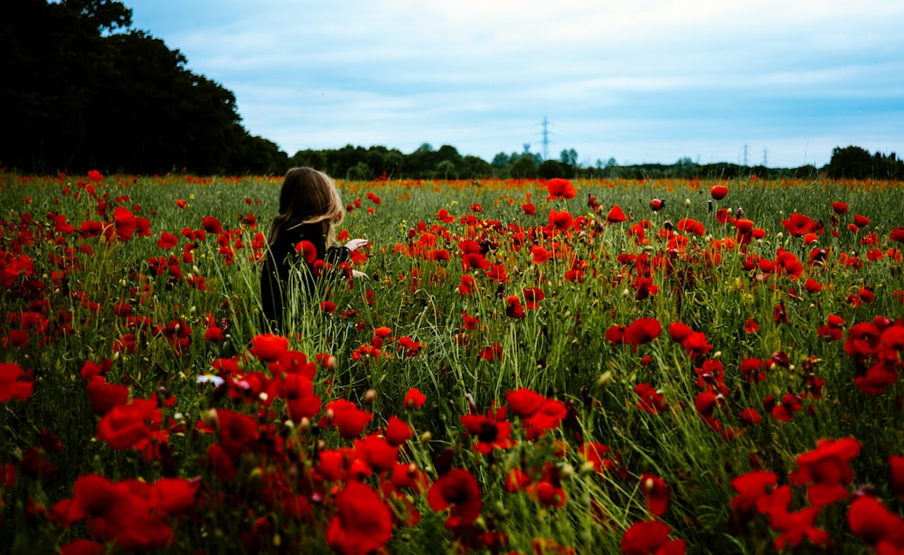 personne se promenant autour des fleurs rouges pendant la journée