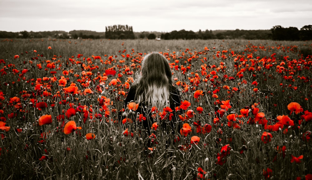 selective-color photo of red flowers