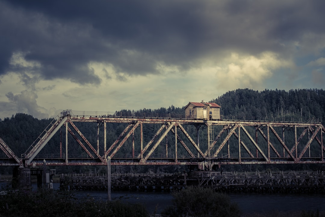 photo of Heceta Beach Suspension bridge near Heceta Head