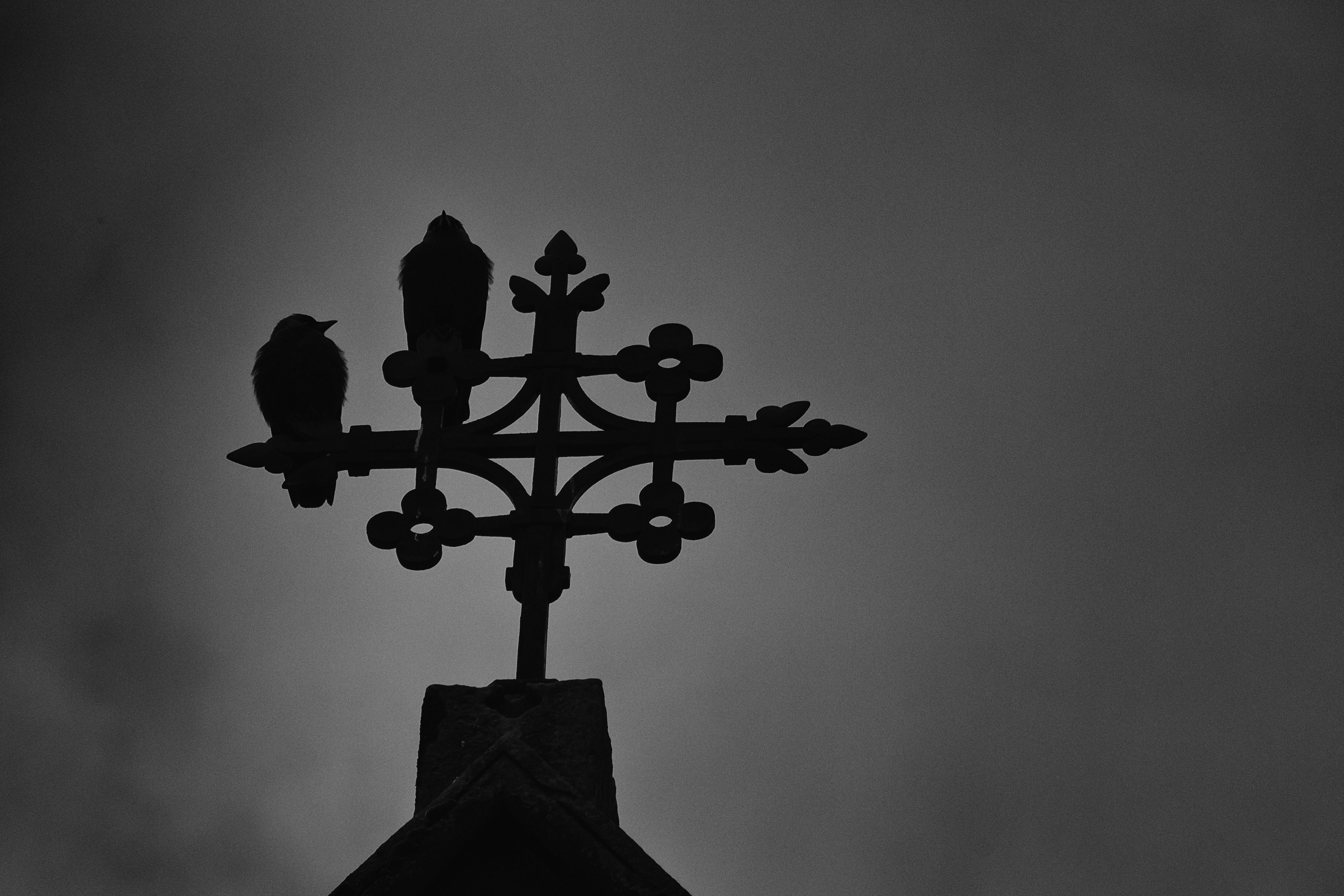 Free Unsplash photo from Kobe Doggen