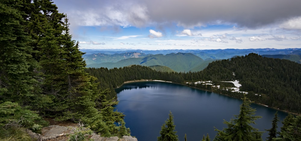 calm body of water near trees during daytime