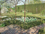 A tidy garden with trimmed bushes and cleared walkways ready for spring.