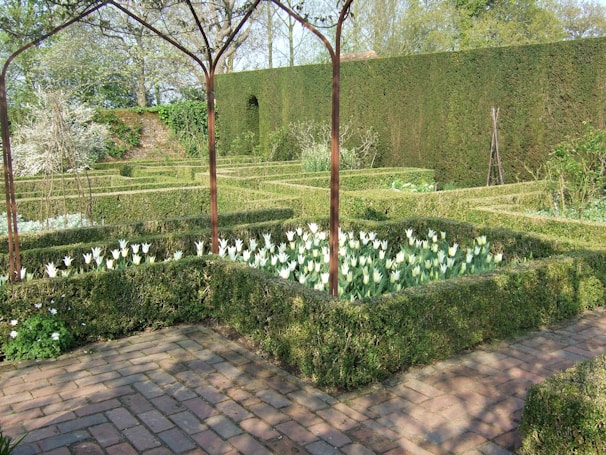 A vibrant spring garden with trimmed bushes and cleaned flower beds, ready for the season.