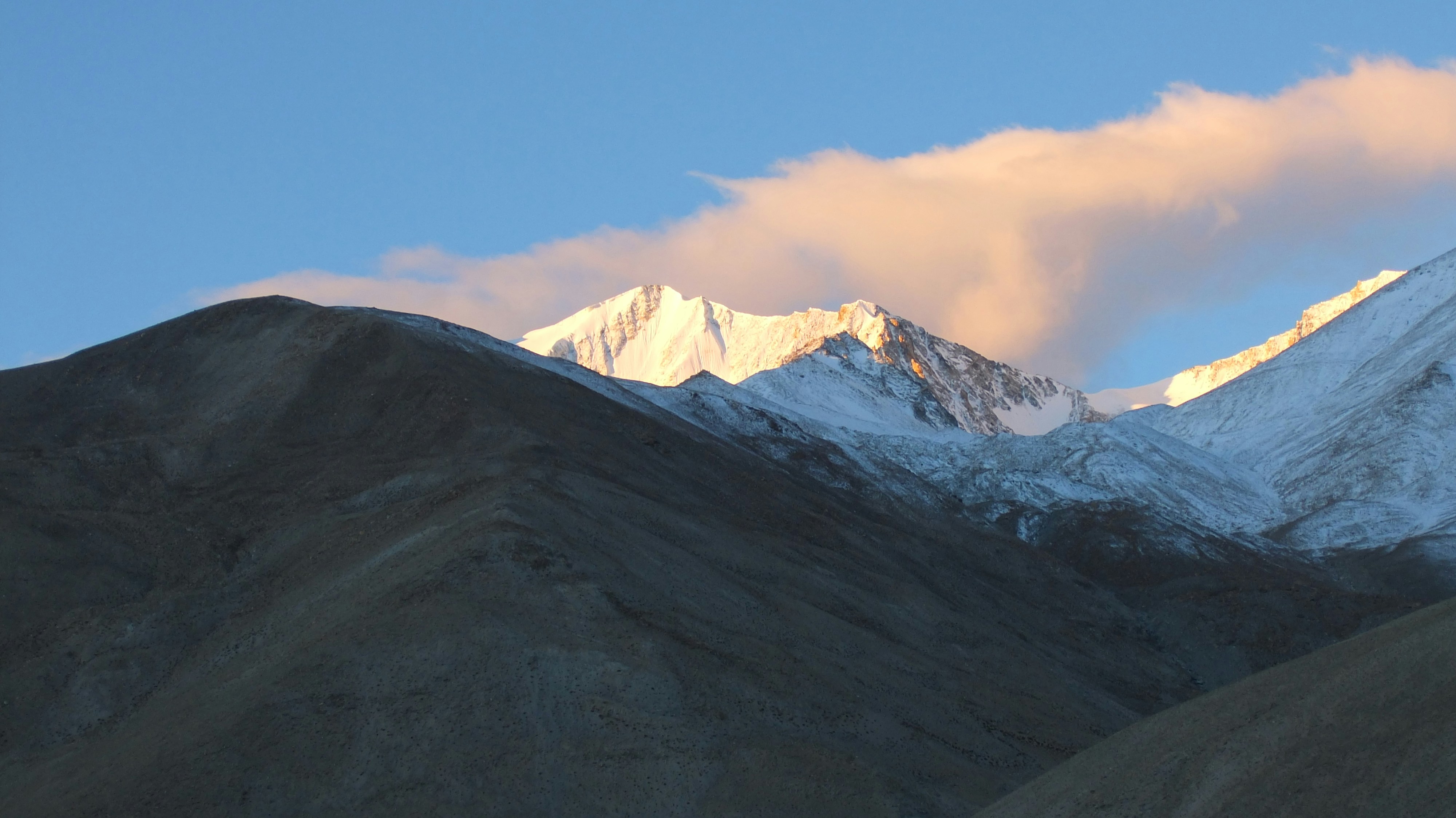 Free Unsplash photo from Nina Chou