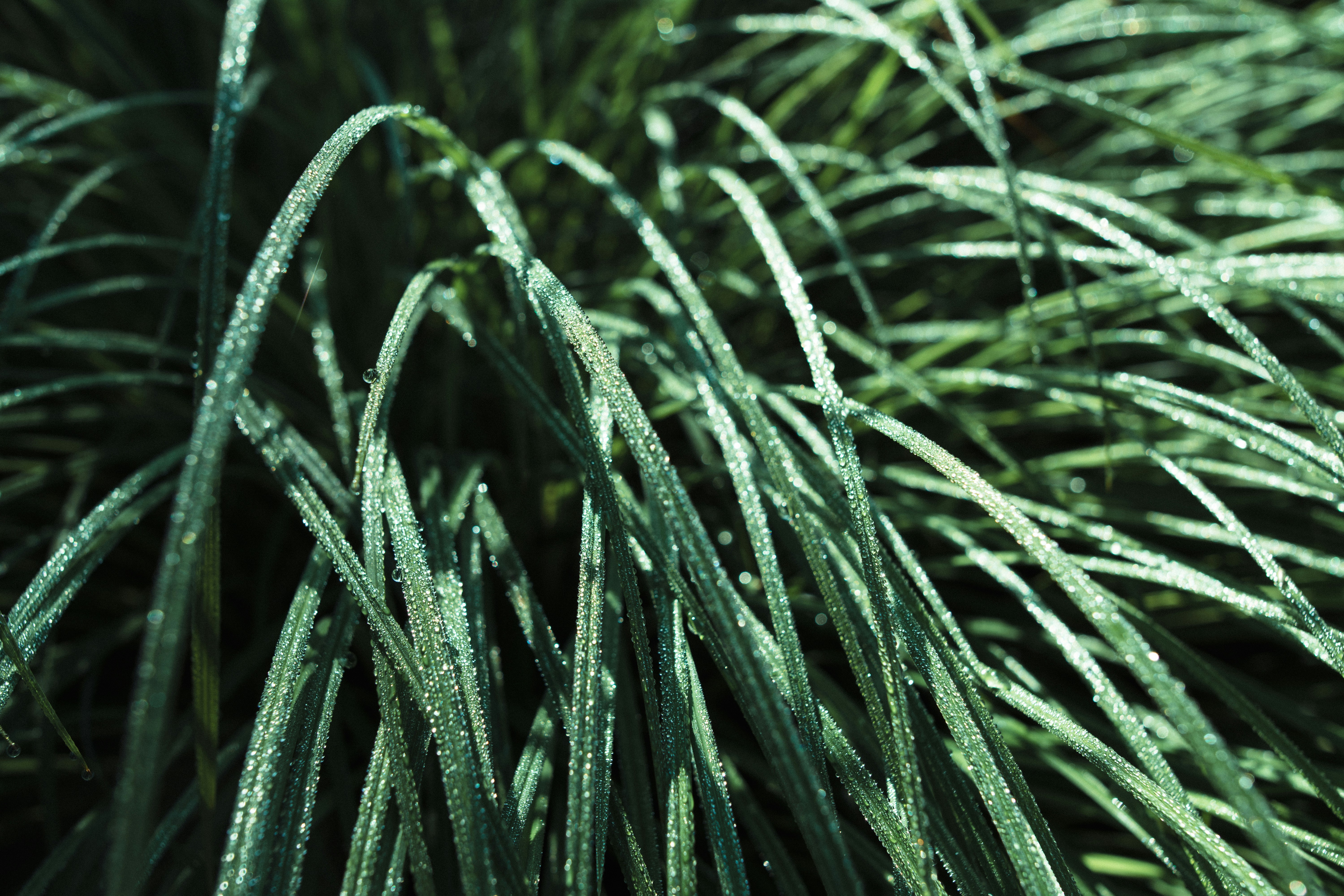 Free Unsplash photo from Joel Peel