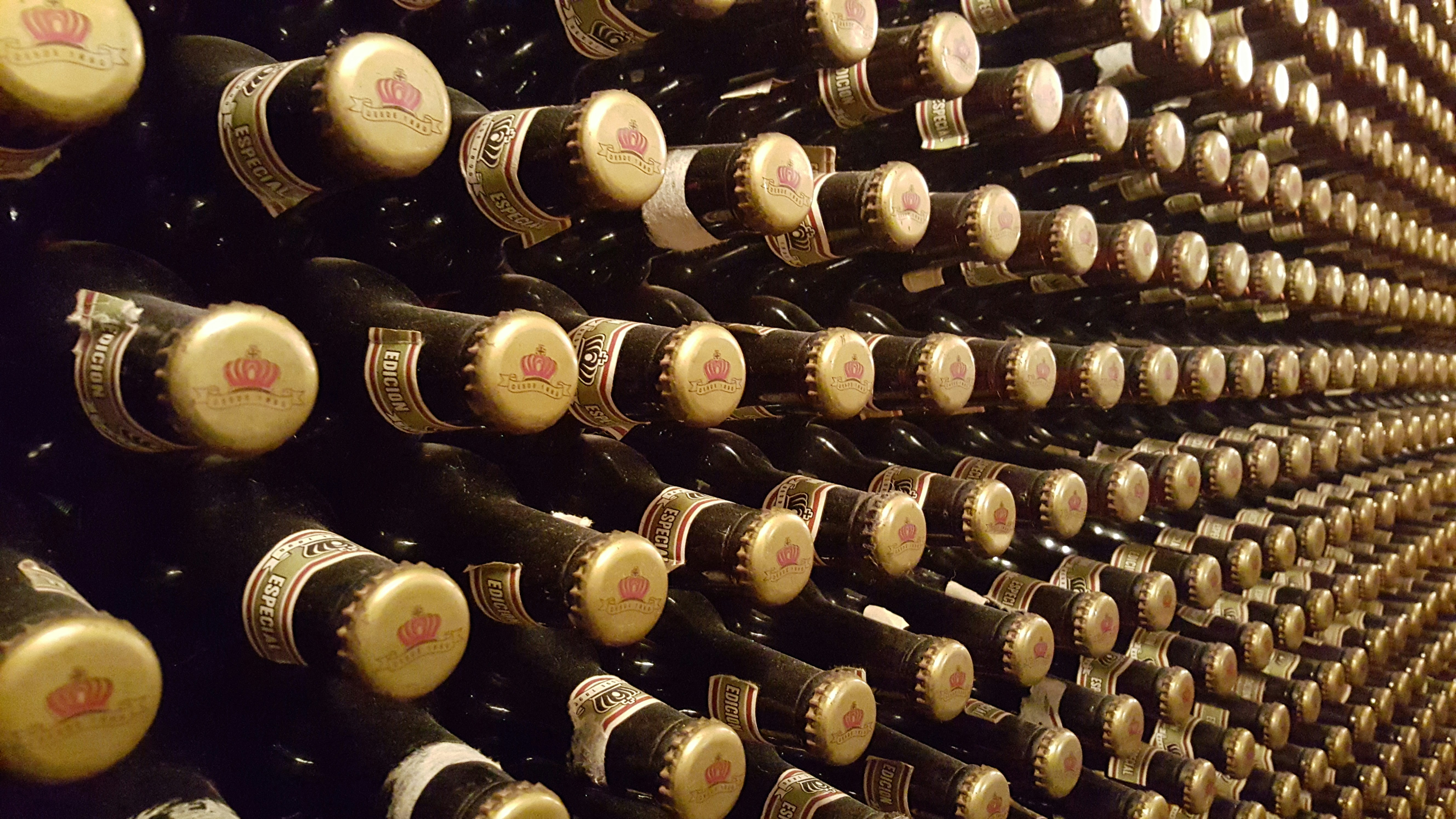 Free Unsplash photo from Gustavo Rendano